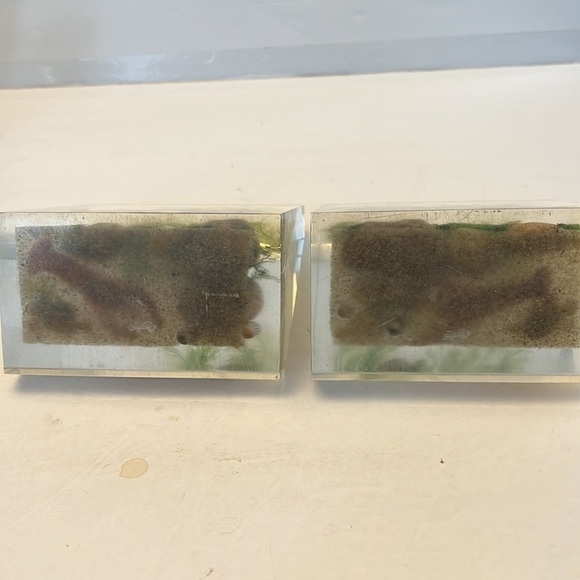 1960s Lucite Book Ends Clear Float TM Ocean Scene Lobsters - Picture 10 of 14